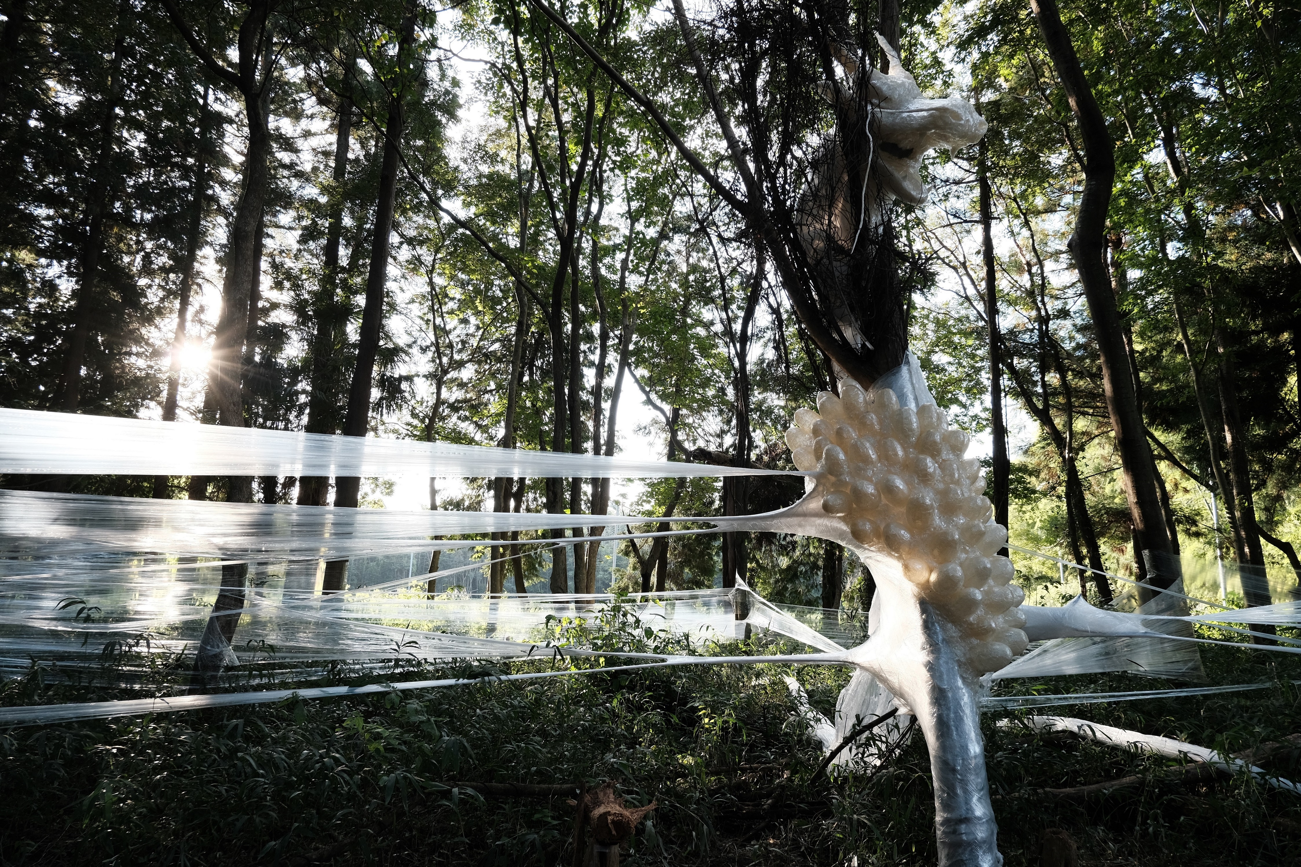 キテラス河原えびす店さんの作品1