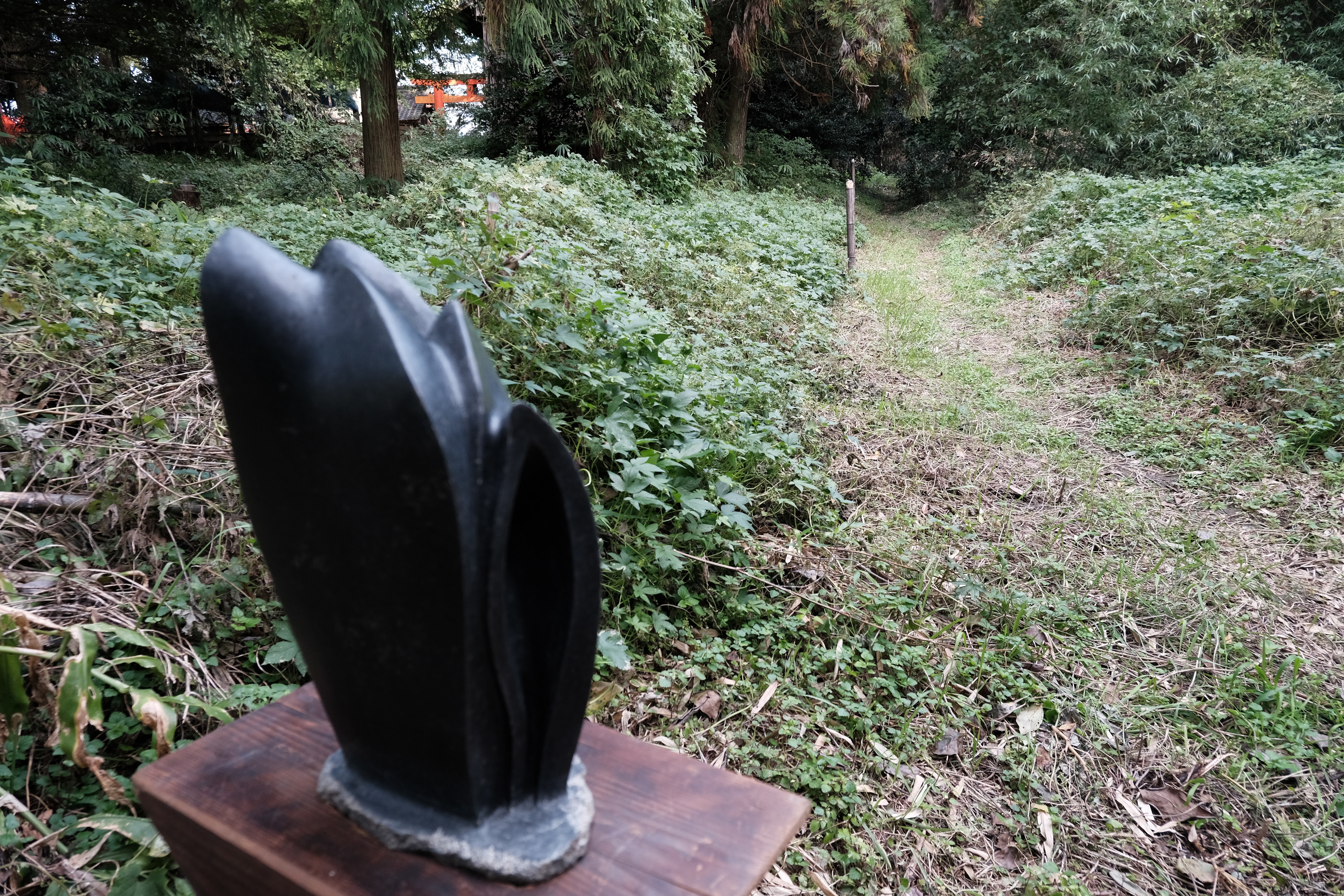 Kyuichi Satoさんの作品11