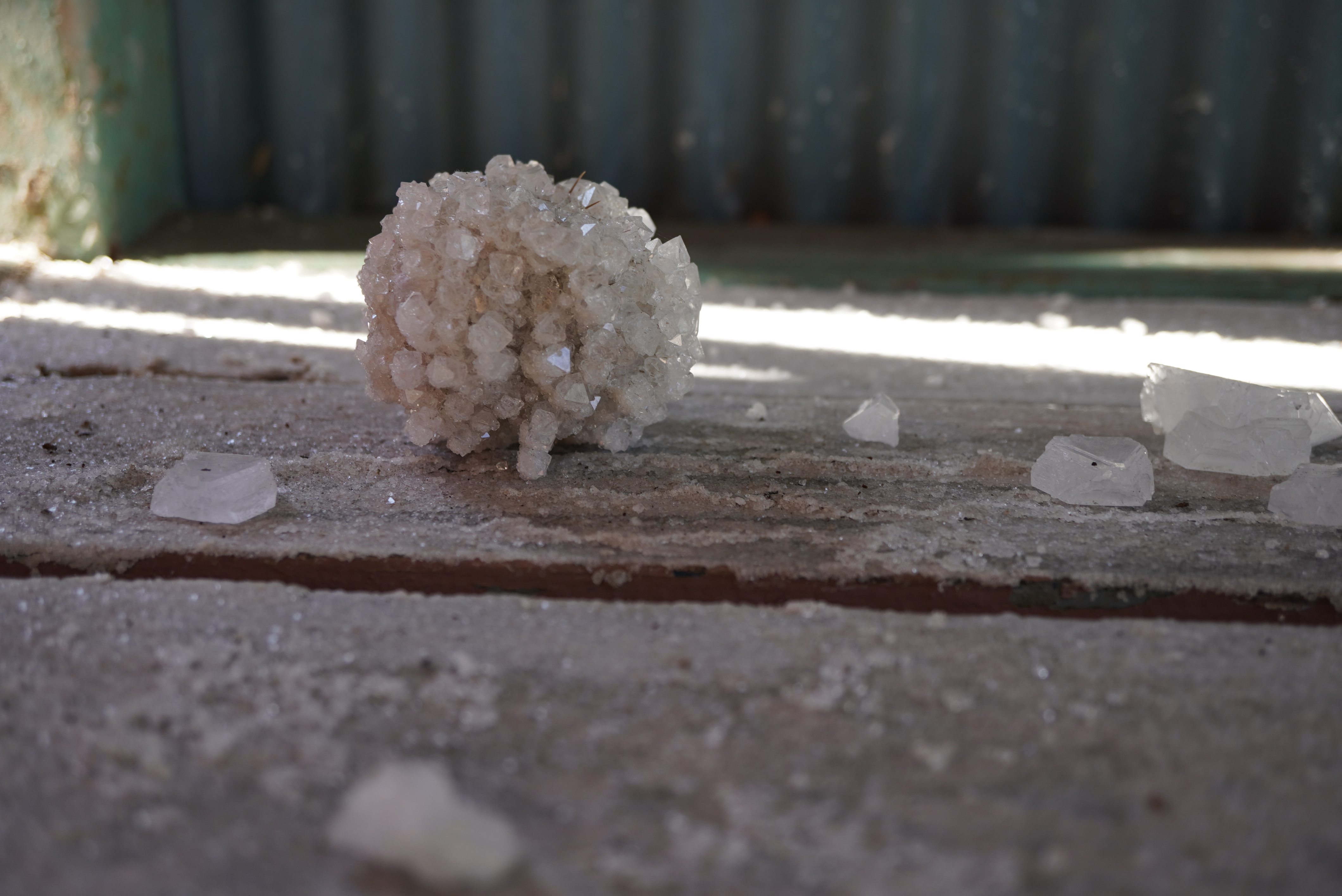 川中政宏さん作品4