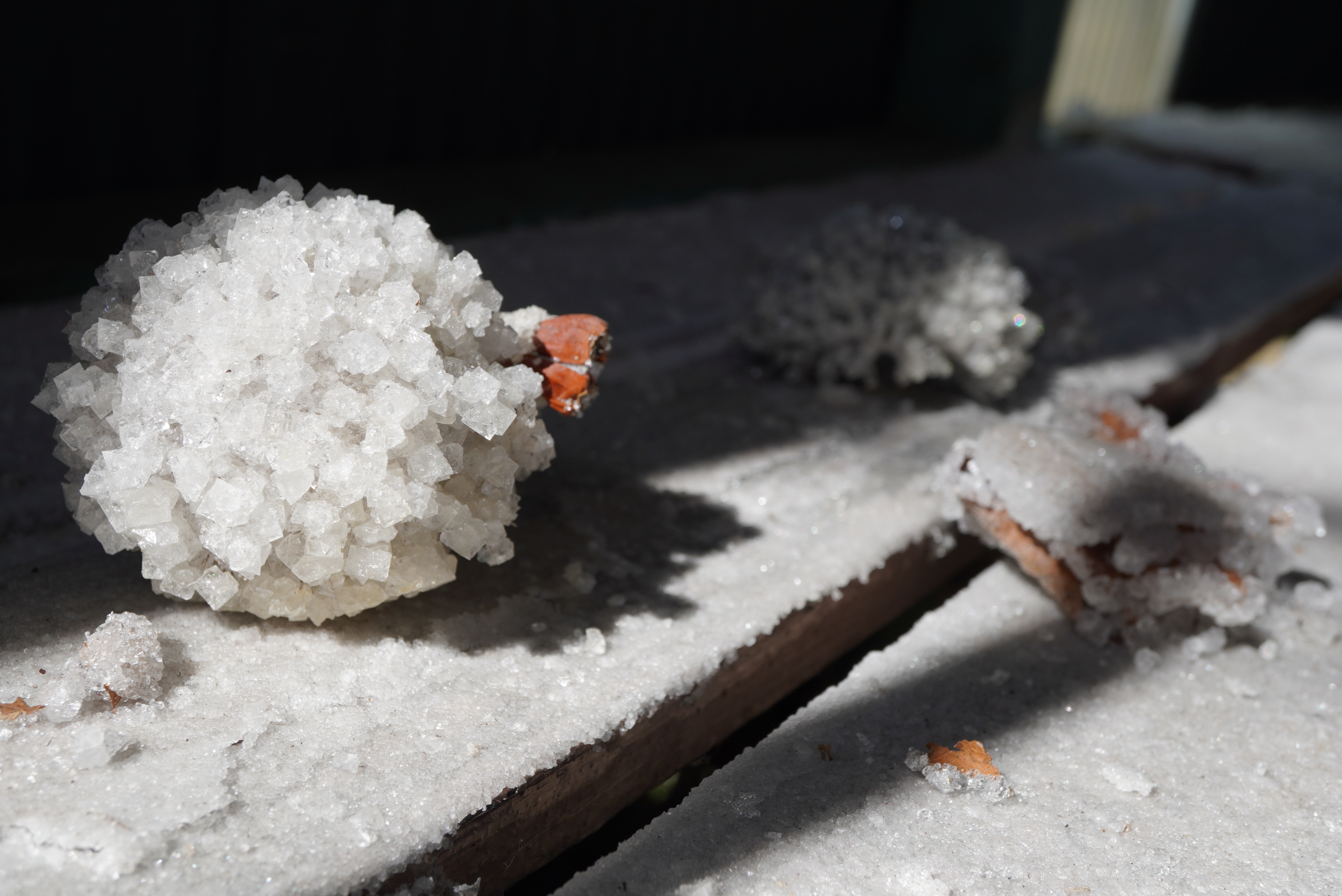 川中政宏さん作品5