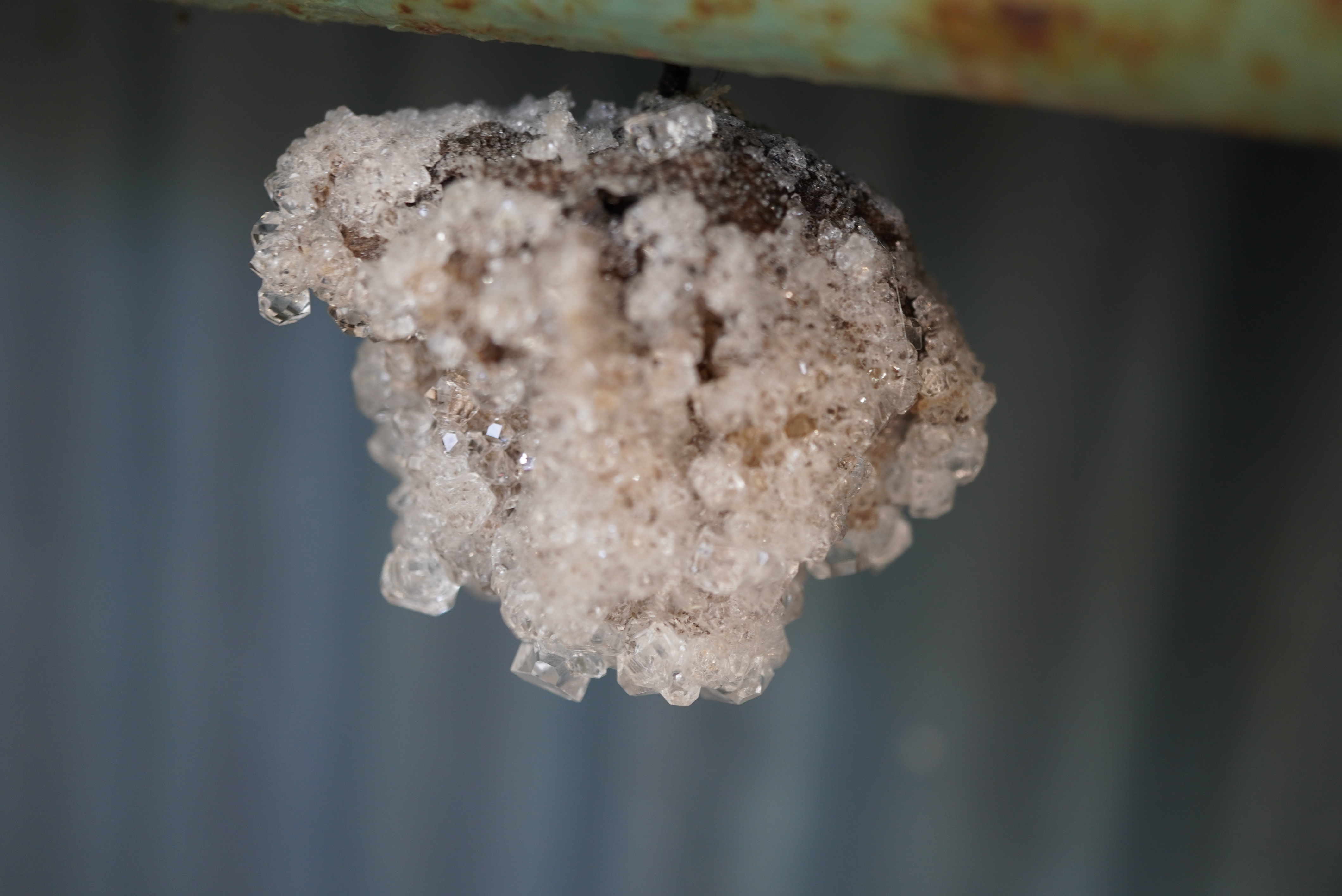 川中政宏さん作品7