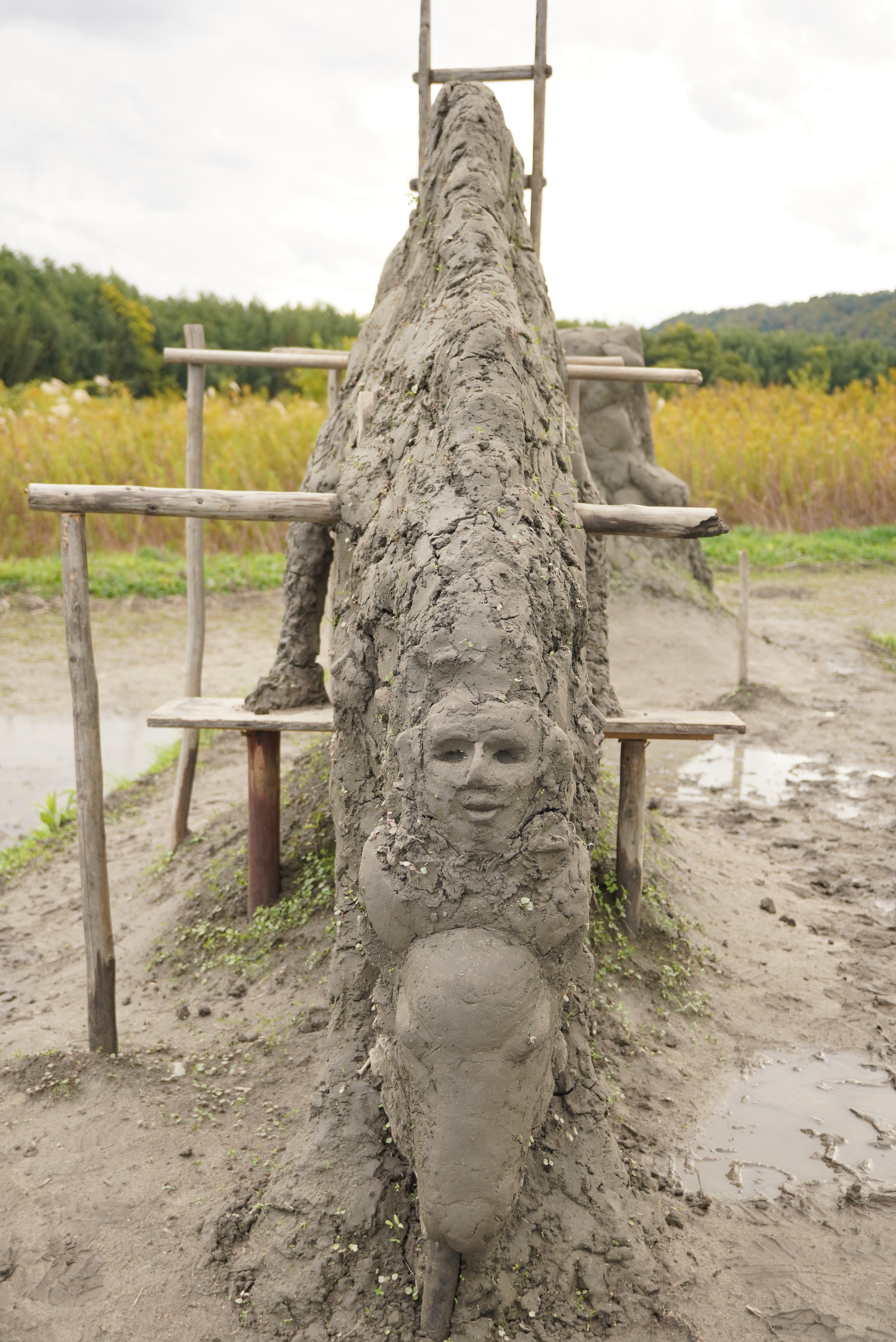 Chakky Katoさん作品5