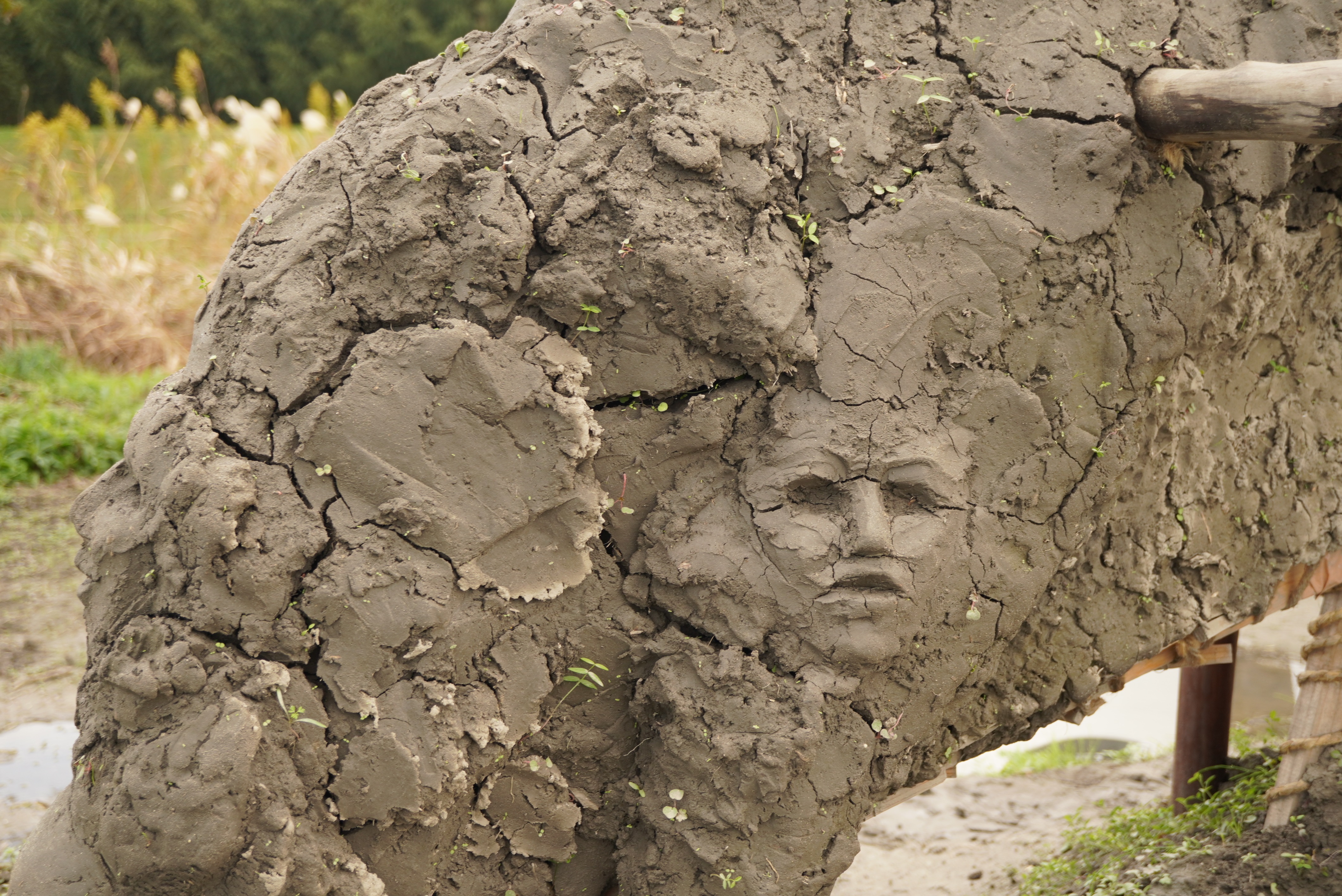 Chakky Katoさん作品10