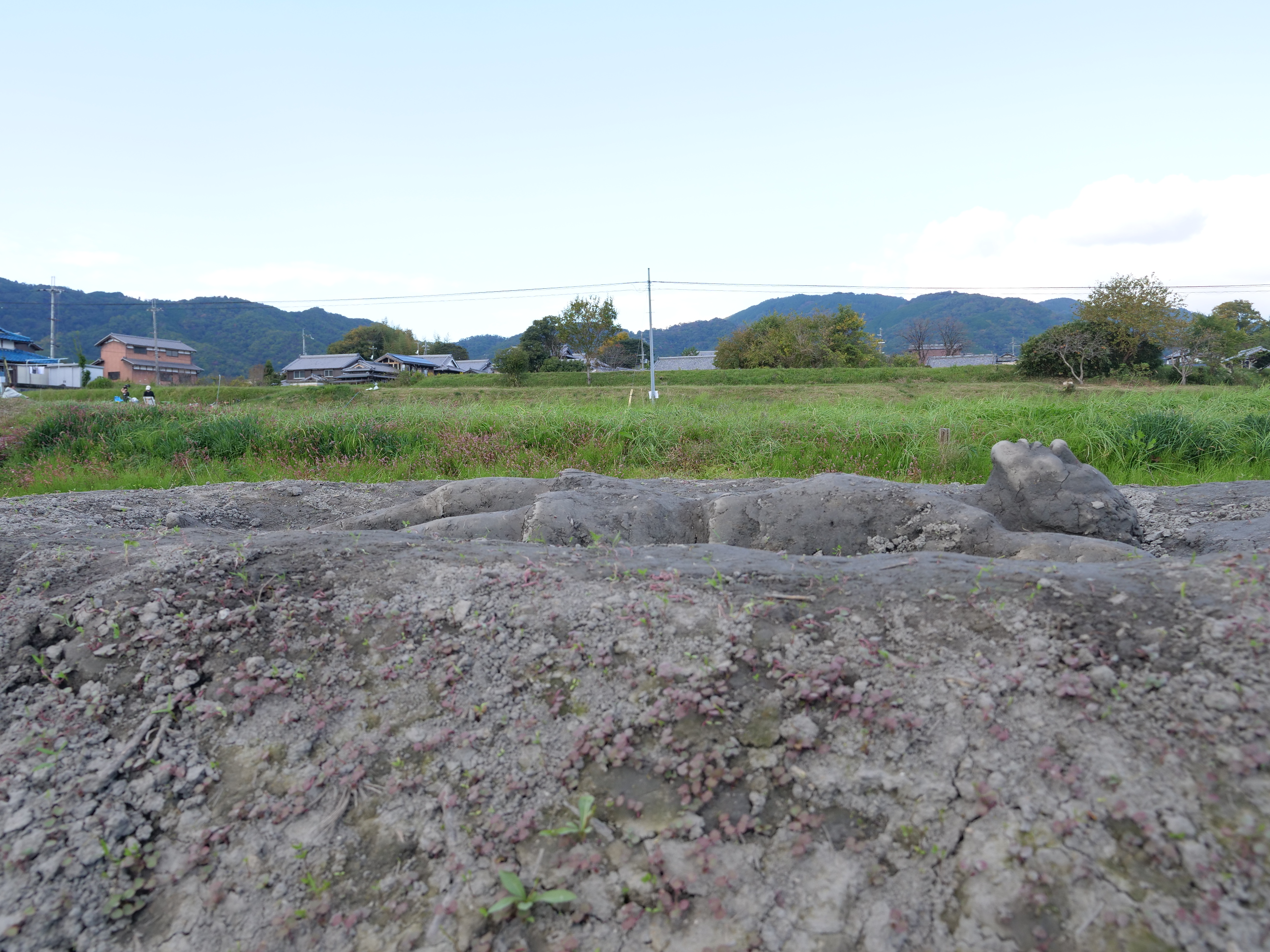 Chakky Katoさん作品9