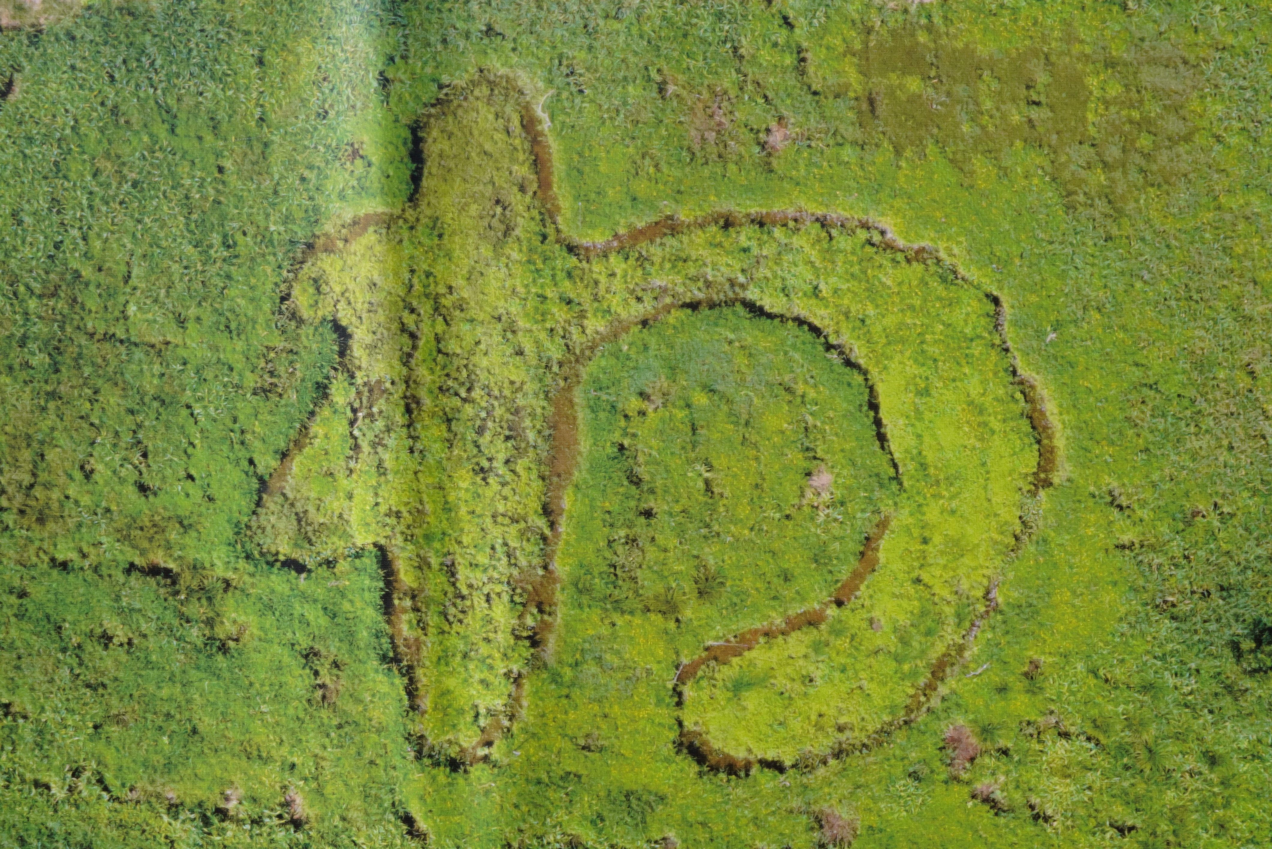 作品作りの様子4