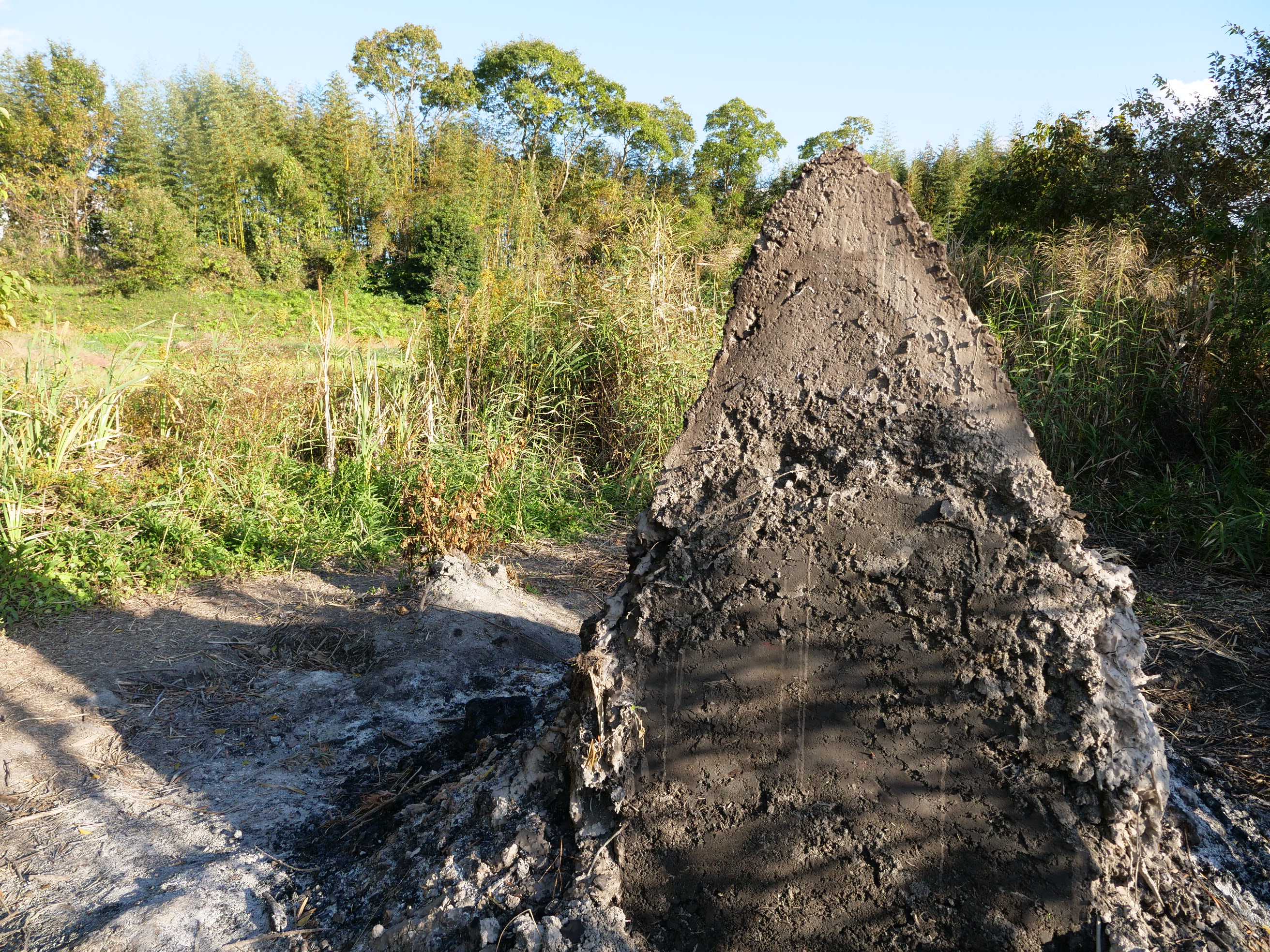 わいわいぱーくさん作品14