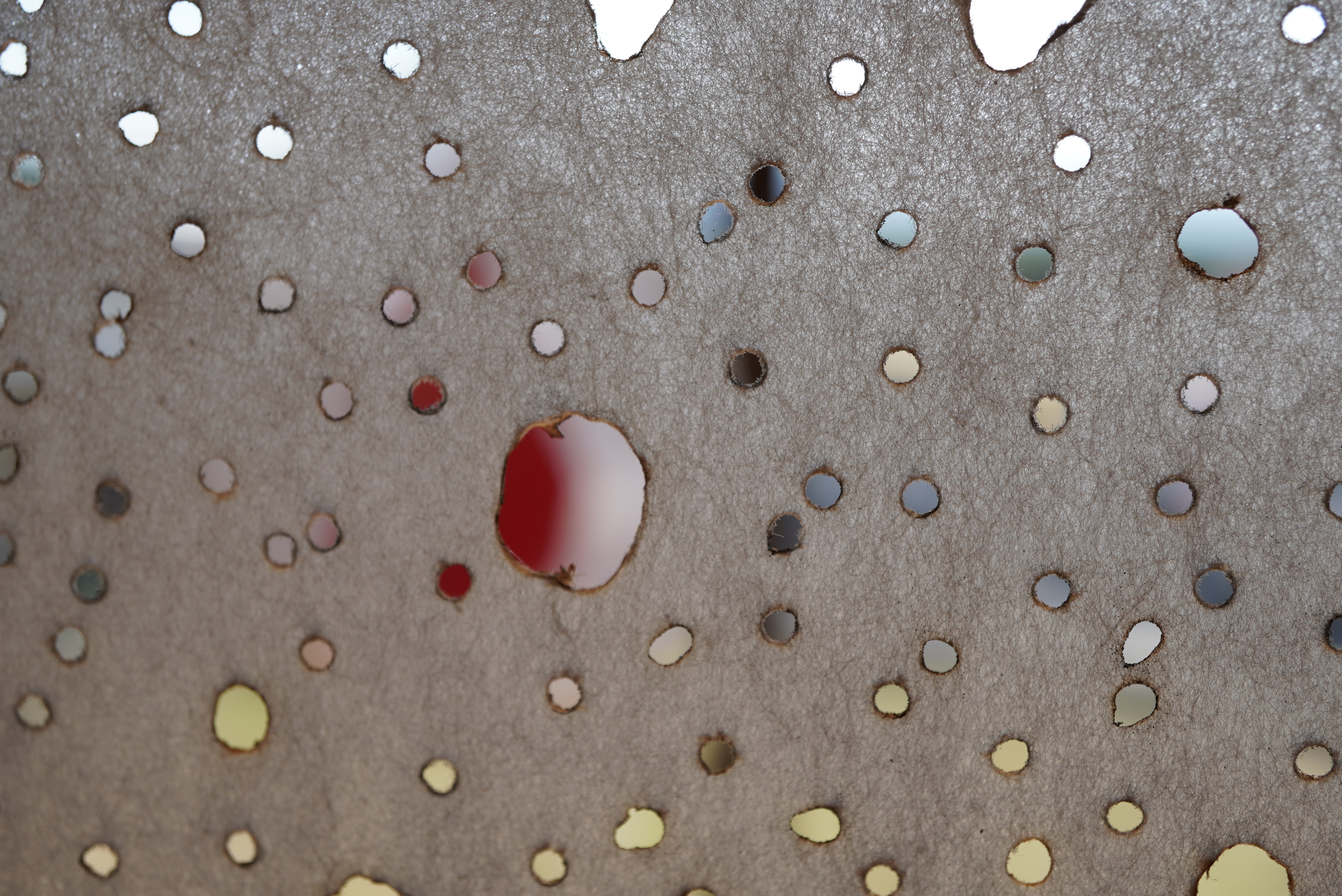 浅山美由紀さん作品2