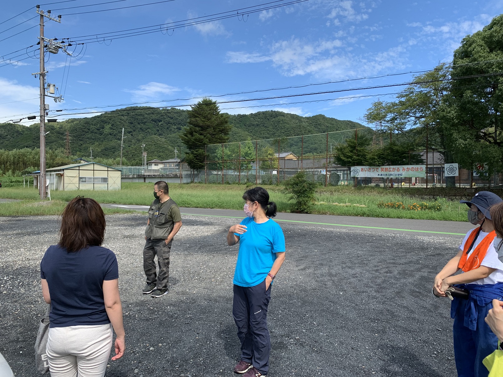 集合している様子