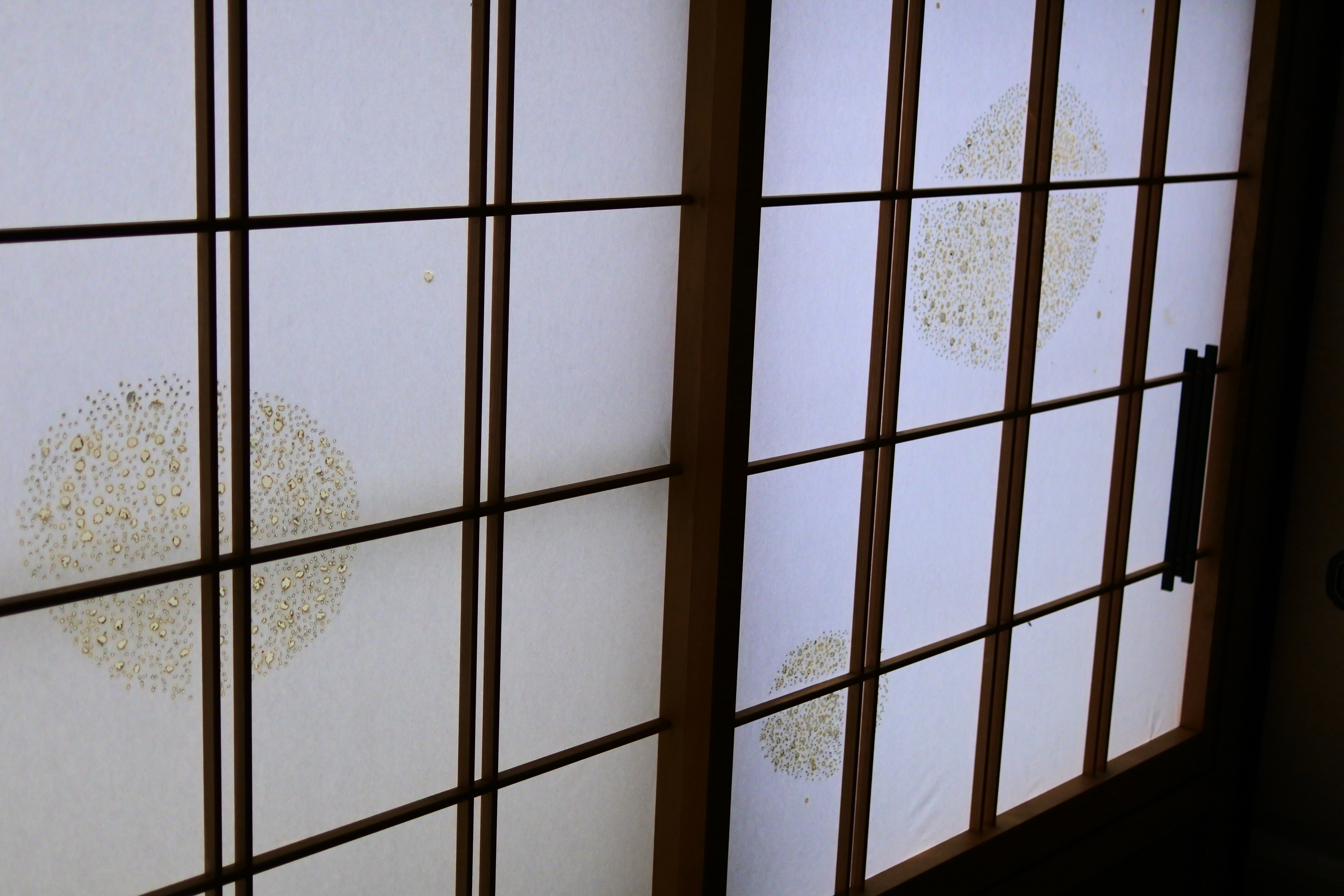 浅山美由紀さん作品7