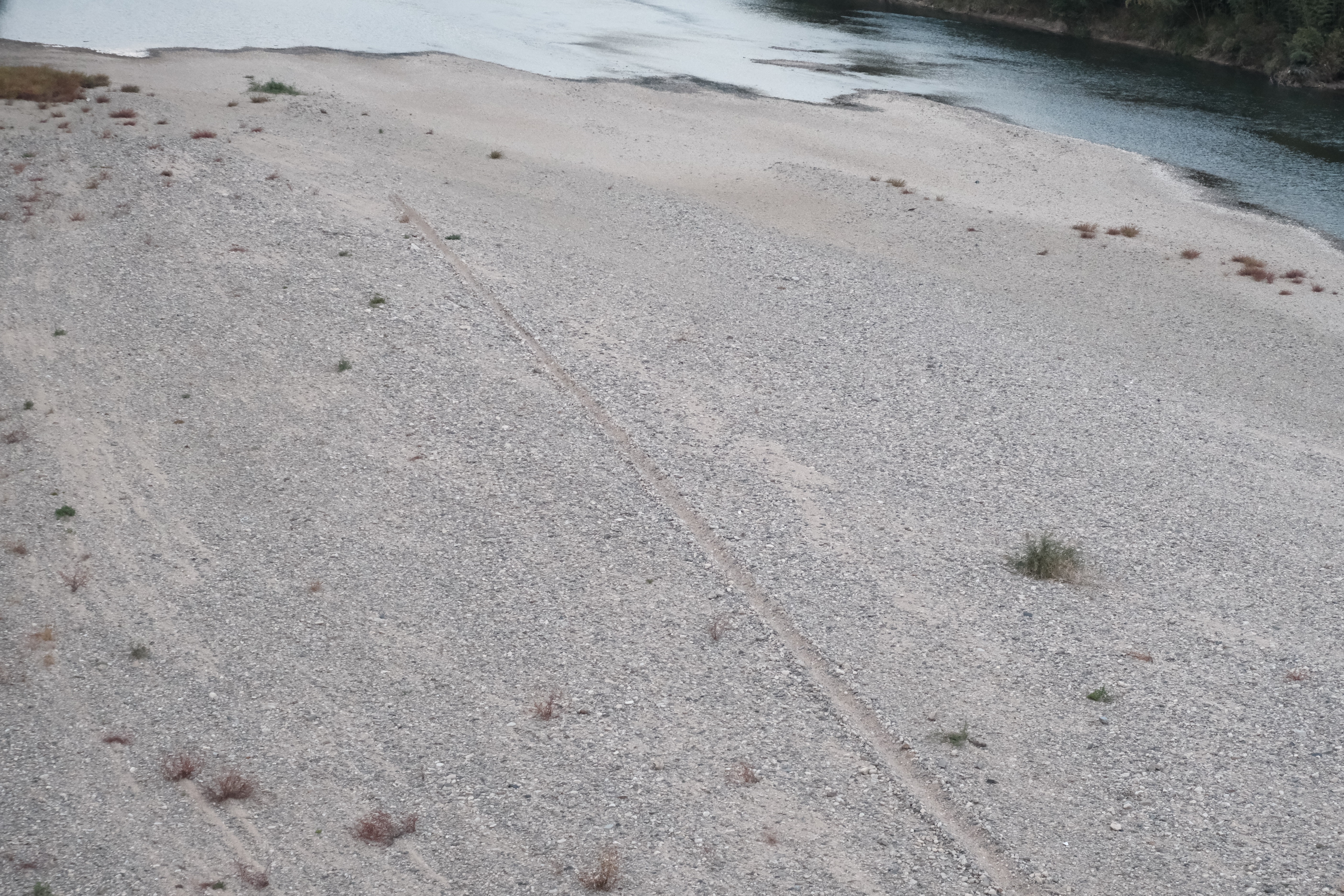 XIAO Li（シャオリー）さん作品1