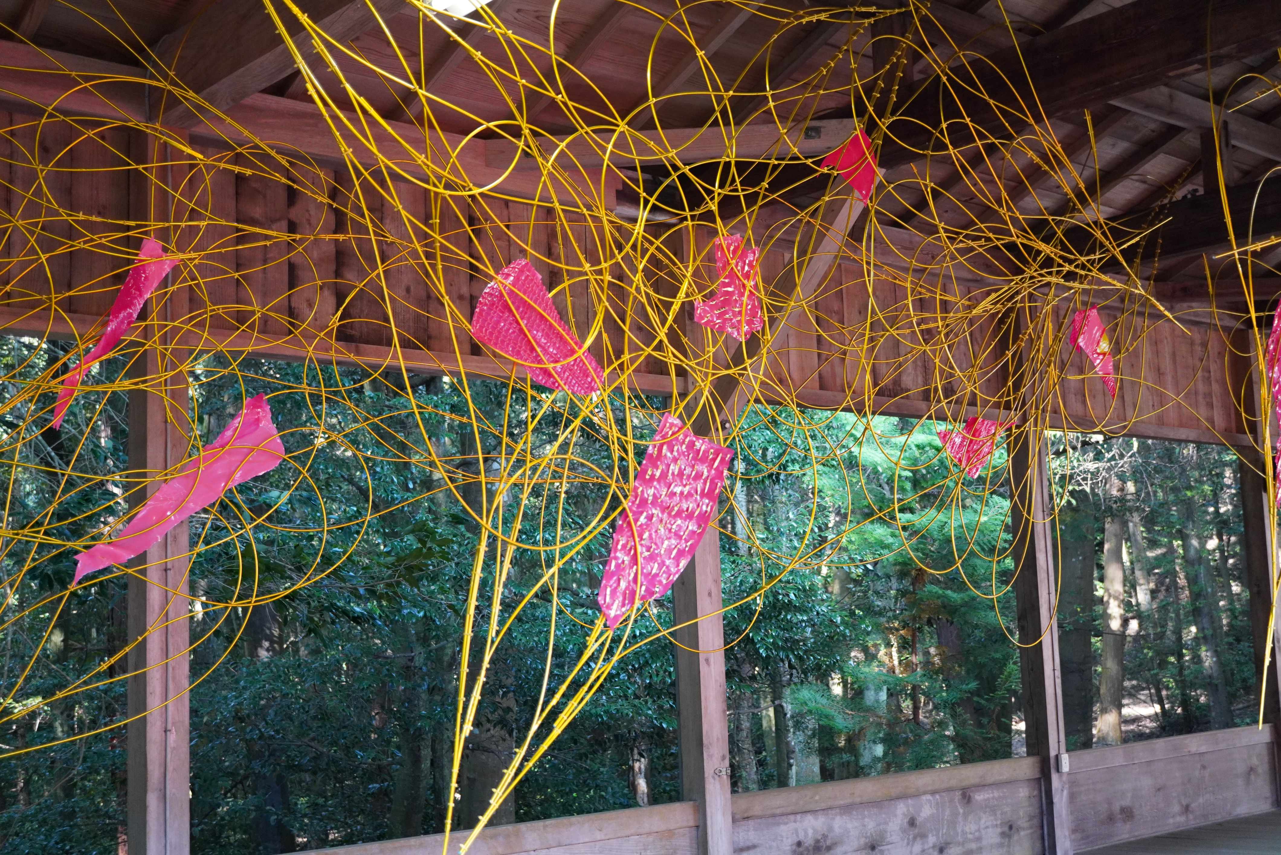 園川　絢也さん作品5