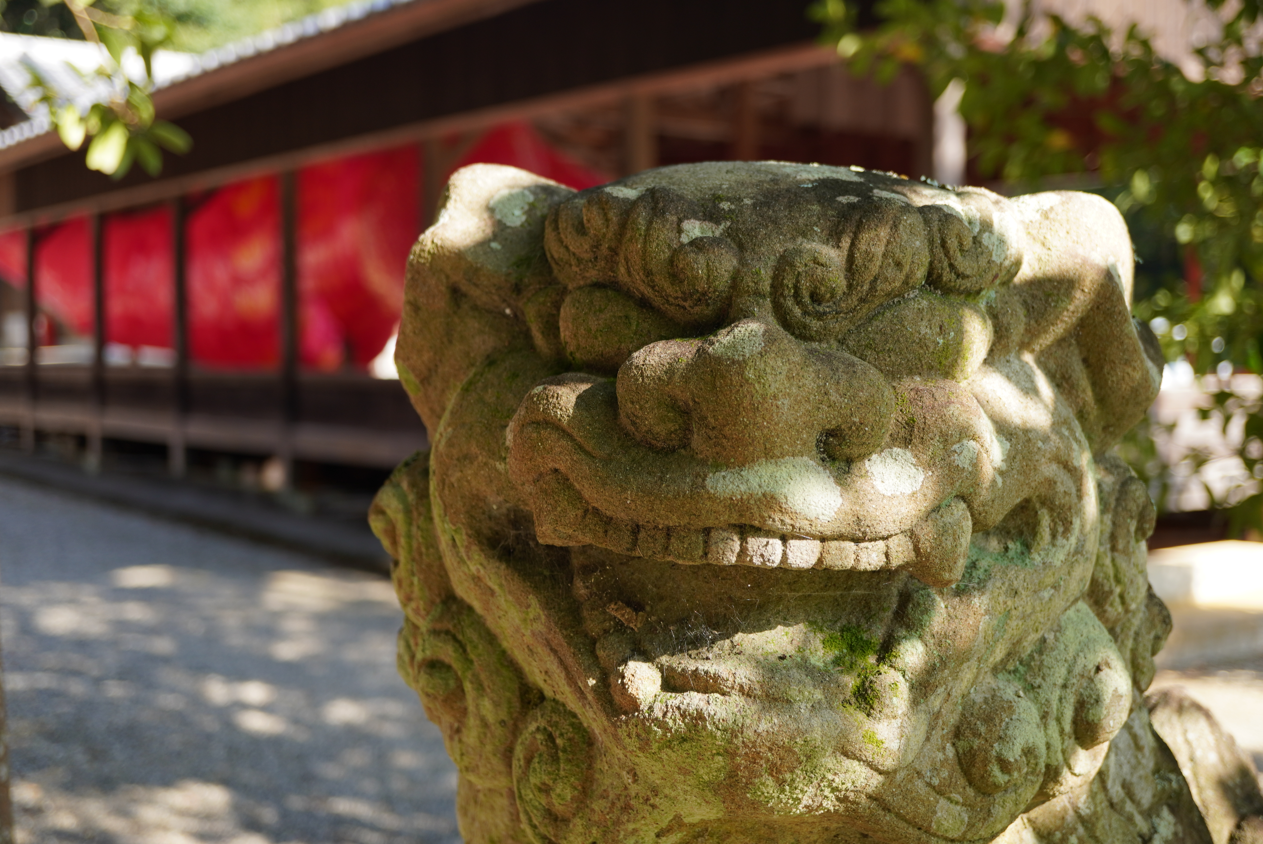 狛犬の写真