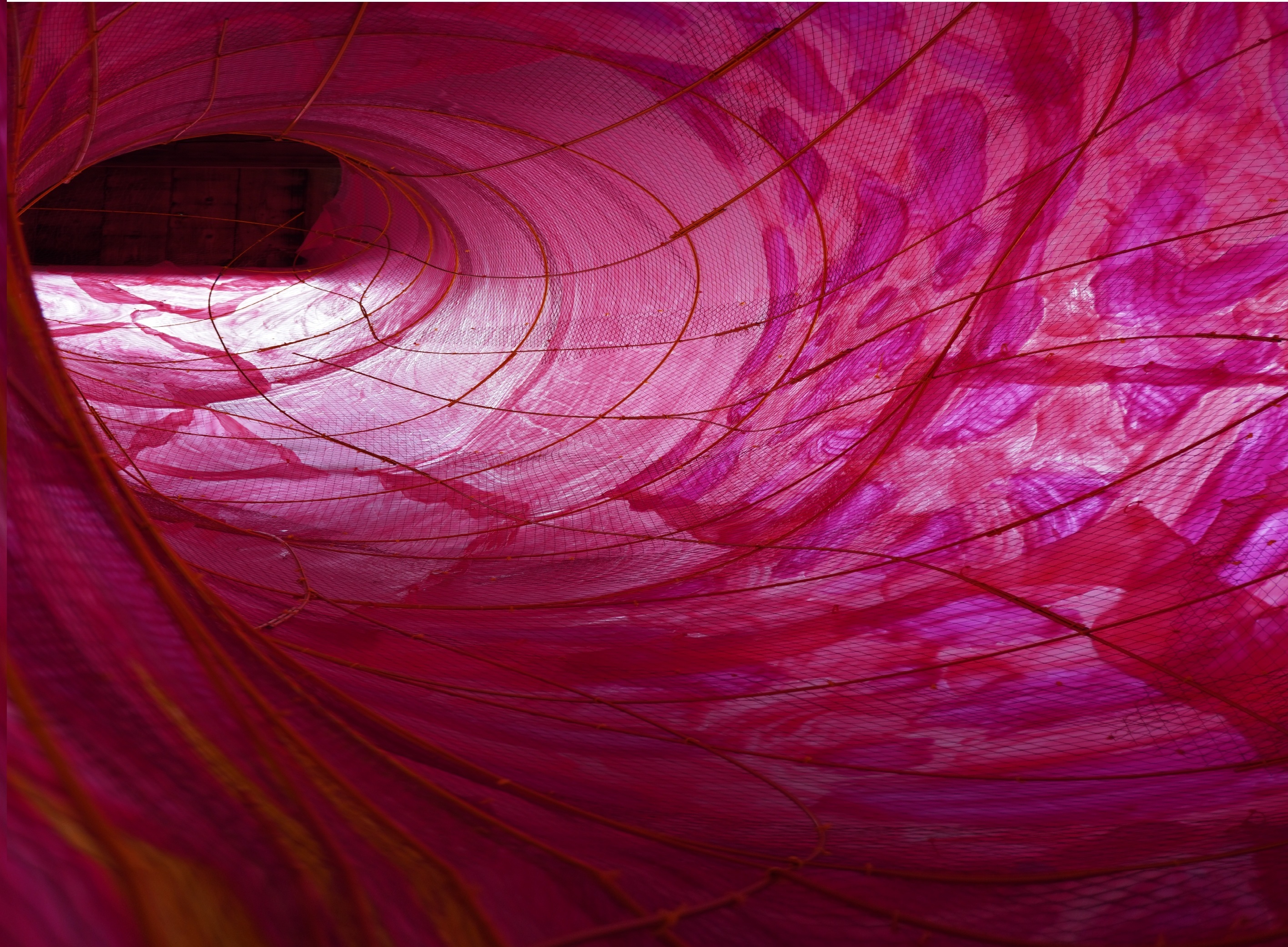 園川　絢也さん作品6