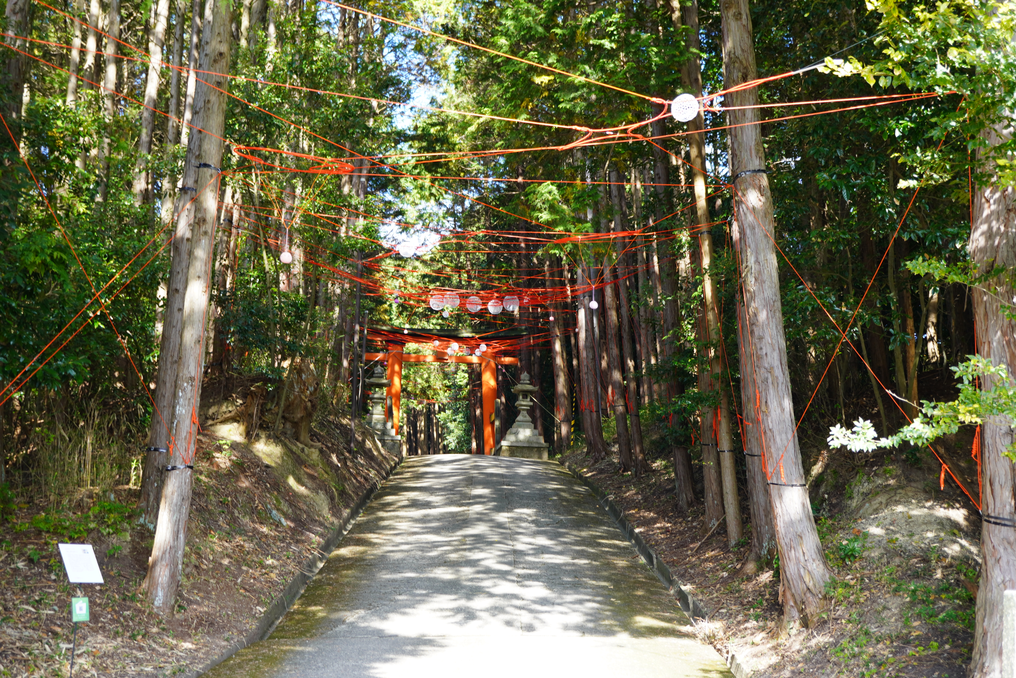 Ms＆Mrシュウさん作品1