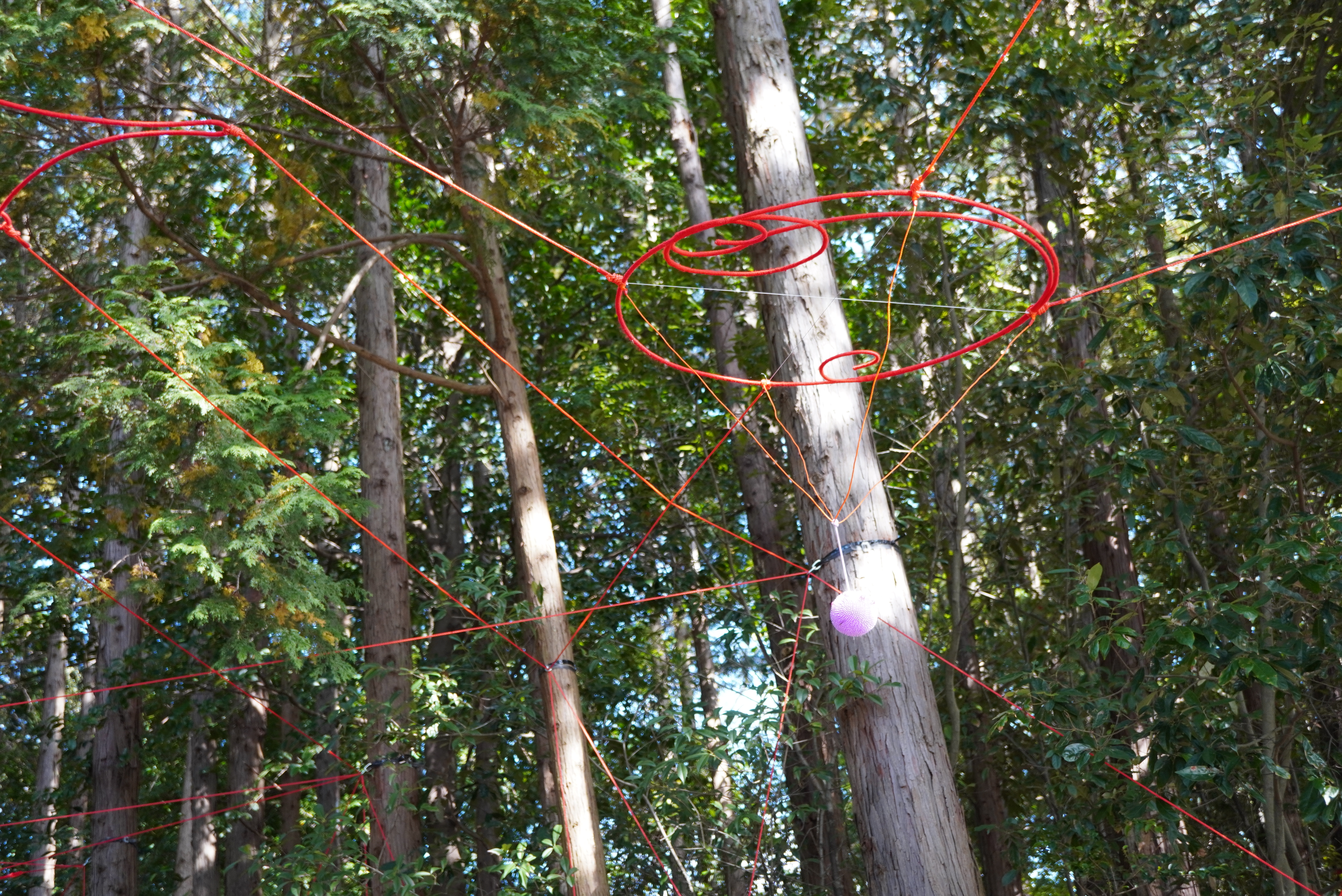 Ms＆Mrシュウさん作品2