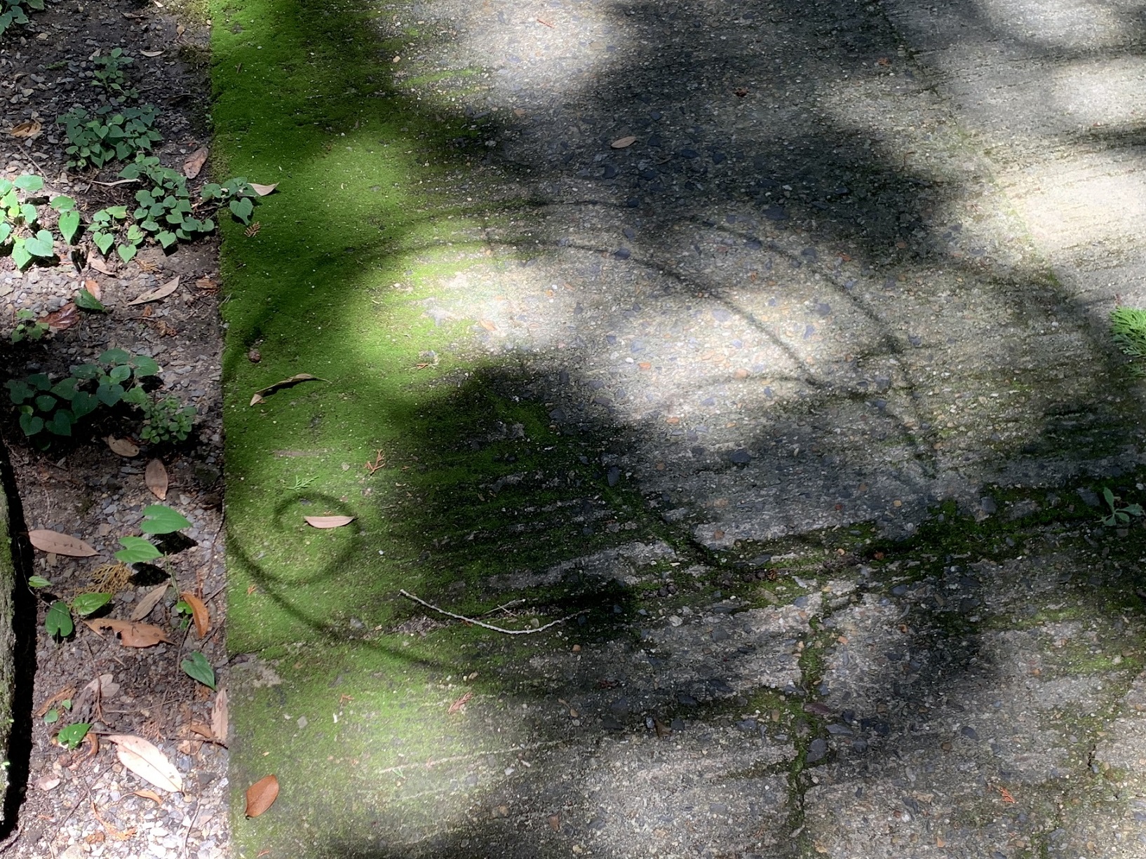 道に作品の影が映る様子