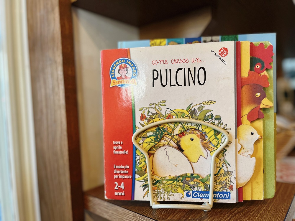 絵本「プルチーノ」の写真