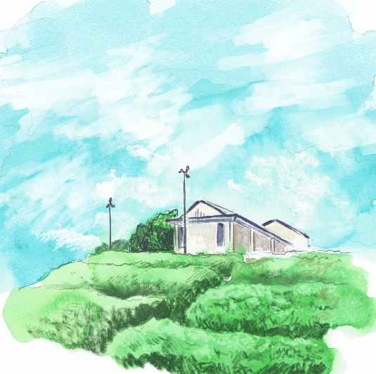 福寿園CHA遊学パークと茶畑のスケッチ