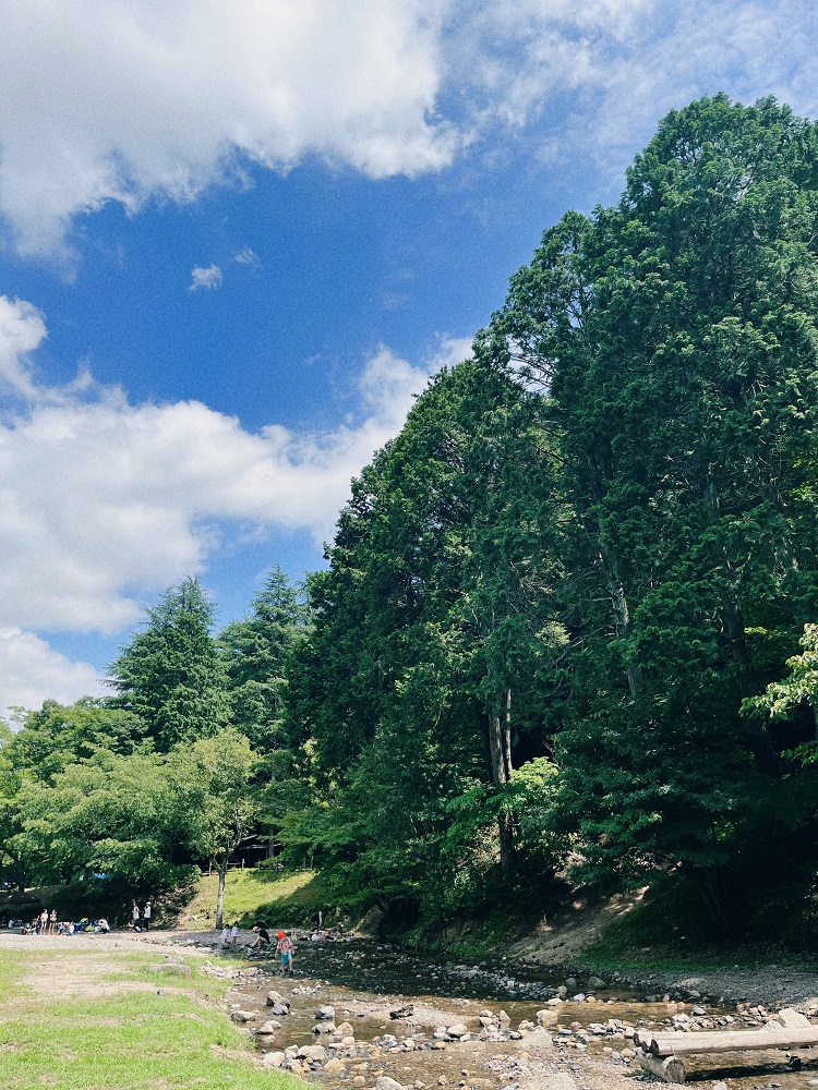 山城町森林公園内の写真1