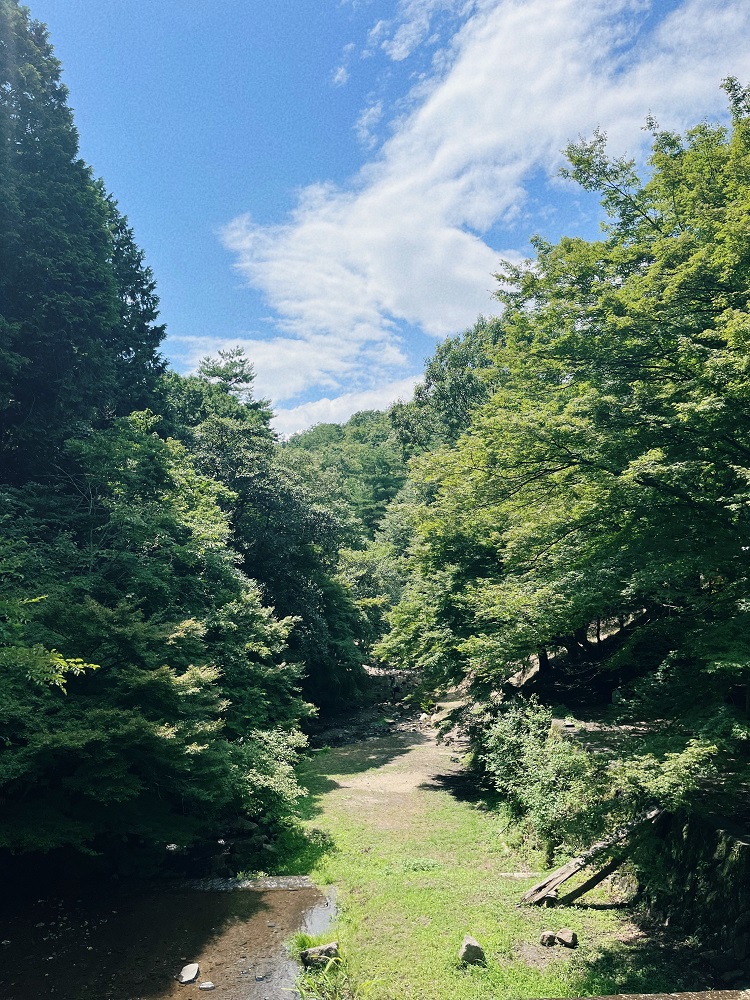 山城町森林公園内の写真2