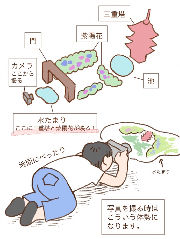 門前の水たまりに三重塔、紫陽花が写る写真の撮り方のイラスト