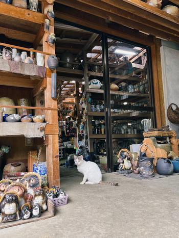 店の入口に座る猫の写真