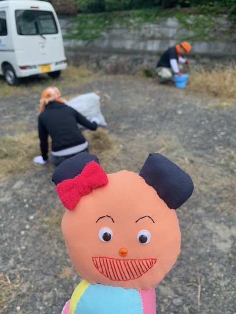 庭掃除の様子を見守る、ぬいぐるみ「マイ」の写真