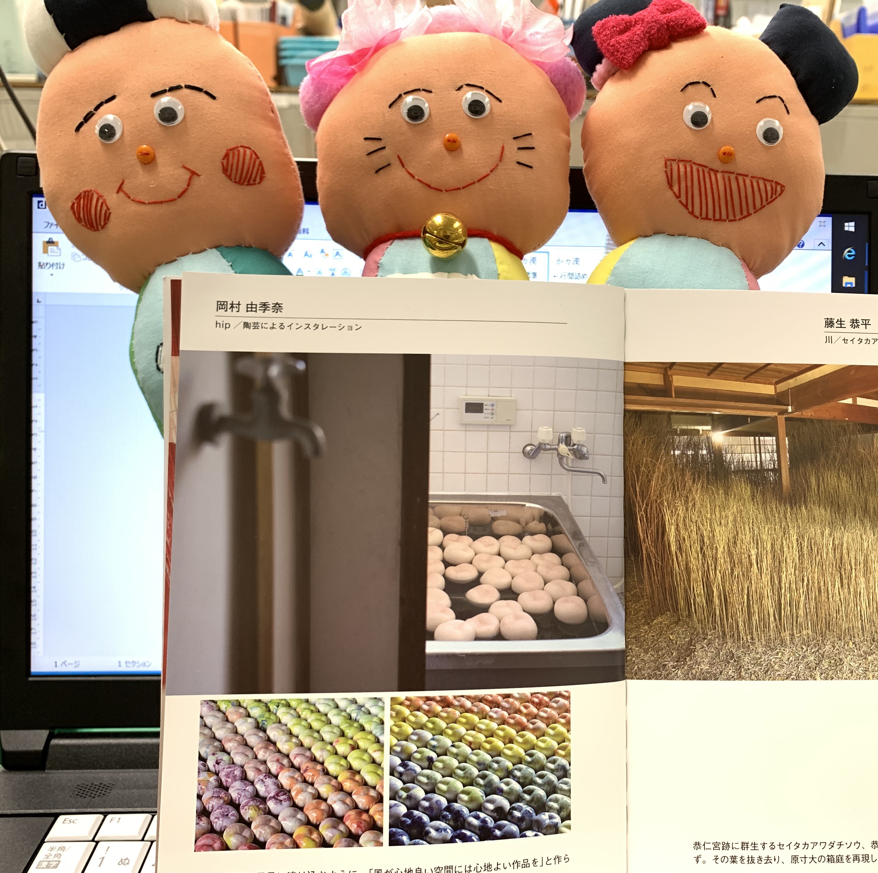 岡村さんが木津川アート2018に出展した作品の写真