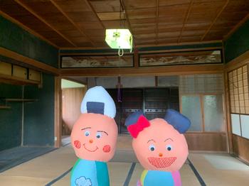 きれいになった室内と「ぷく」と「マイ」のぬいぐるみの写真