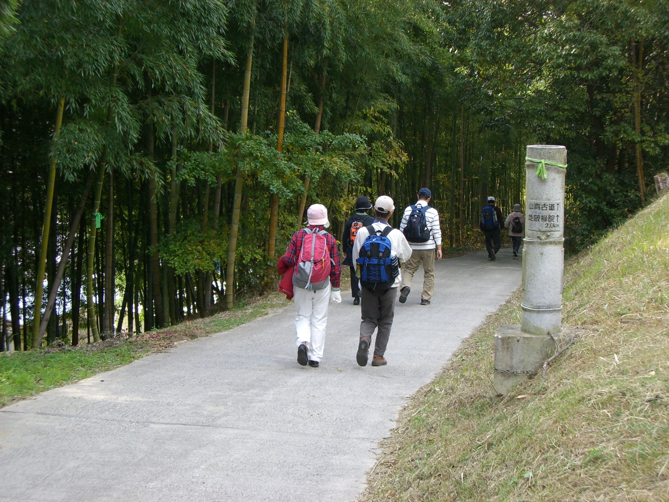 山背古道を散策する様子