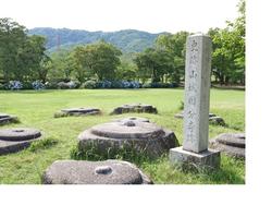 恭仁宮跡の写真