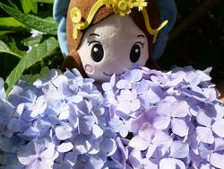 あじさいといづみ姫の写真