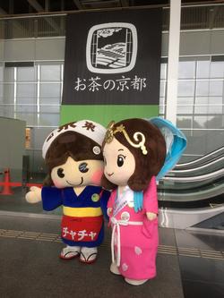 茶茶ちゃんといづみ姫の写真