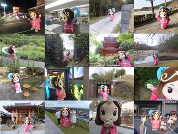 いろんな場所でのいづみ姫の写真