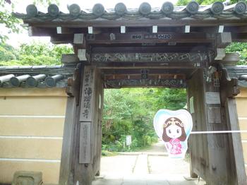 浄瑠璃寺の門の写真