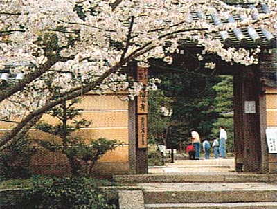 浄瑠璃寺山門の写真