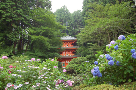 岩船寺三重塔の写真