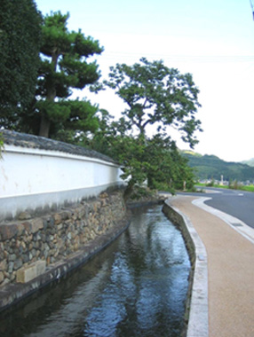 大井手用水路の写真