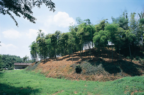 椿井大塚山古墳の写真