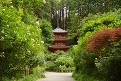 岩船寺三重塔の写真