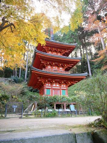 岩船寺の紅葉の写真