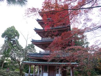 海住山寺の紅葉の写真