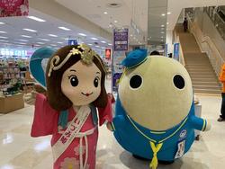 いづみ姫とまゆまろの写真