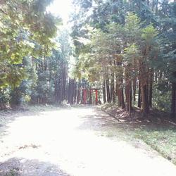 恭仁神社の写真1