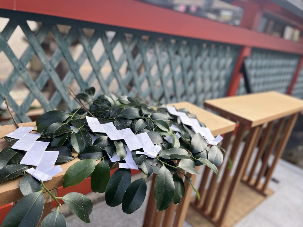 神事で使用された榊の写真