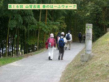 春のはーふウォーク参加中の写真