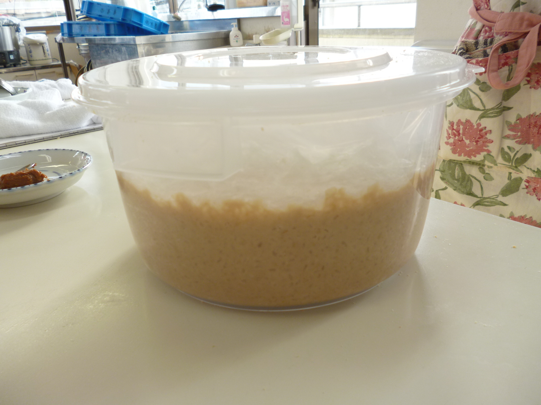 持ち帰る段階まで完成した味噌