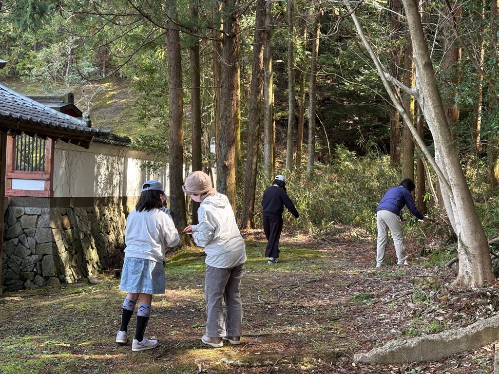 森の色合わせというゲームを楽しんでいる様子