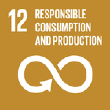 12 RESPONSIBLE CONSUMPTION AND PRODUCTION