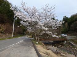 山城町森林公園2